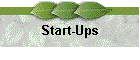  Start-Ups 